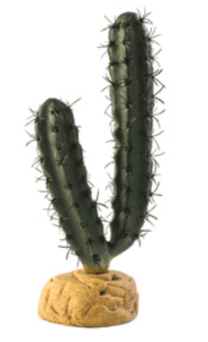 Exo Terra Finger Cactus FREE POST