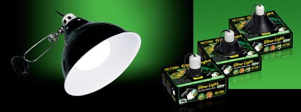 Exo Terra Glow Light/Reflector Lge 25cm holds 200w