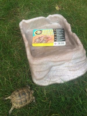 FREE POST Zoo Med Repti Ramp Bowl, X-Large, RRB-12 (1)