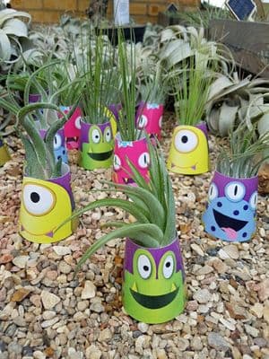 Mini Monster Airplant Wrap FREE first class postage