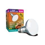 NEW 2nd gen Arcadia D3 UV Basking Lamp 100w 12 month full product guarantee