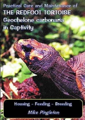 Practical Care and Maintenance of the Redfoot Tortoise Geochelone Carbonaria in Captivity - free post