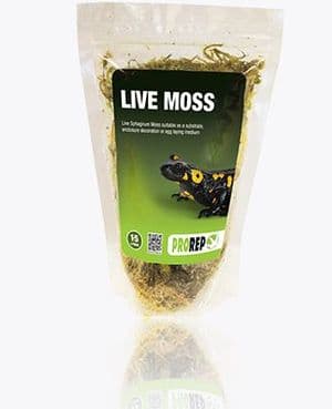 Pro Rep Live Moss 1.5L or 3L, humid hides for tortoises - free post