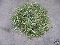 ReadiGrass 200g - FREE POST