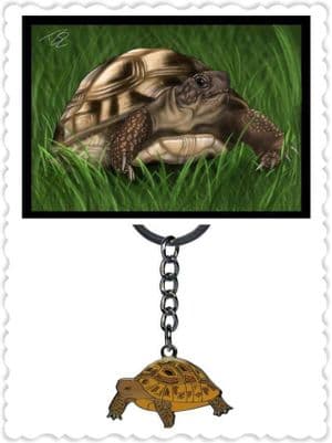 Tortoise card and Metal Keyring