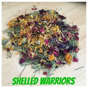 Tortoise Readi Grass Flower & Plant Mix 1KG - BEDDING FOOD Free Post