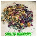 Ultimate Tortoise Bedding Kit1kg Readigrass 1kg Oystershell 1kg grass flower mix- FREE POST WORTH £8