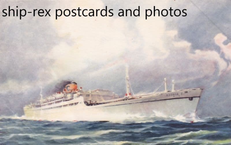 ANDREA C (Linea C / Costa)