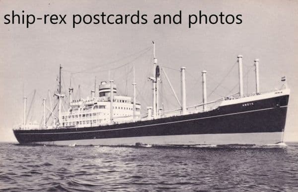 ANDYK (Holland America) a1