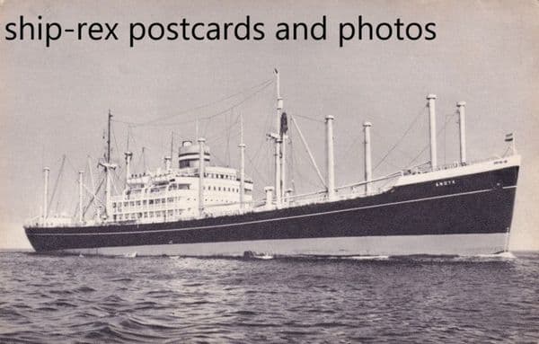 ANDYK (Holland America) a2