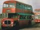 Buses & Trams