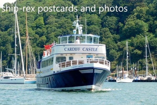 CARDIFF CASTLE (River Dart)~a