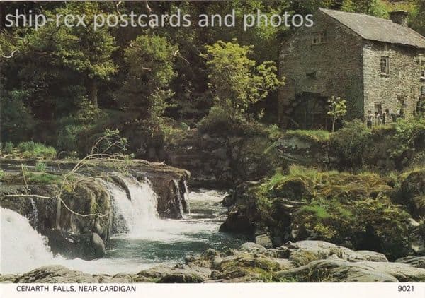 Cenarth Falls, Cardigan,~a