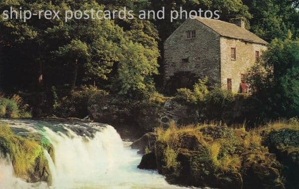 Cenarth Falls, Cardigan~b