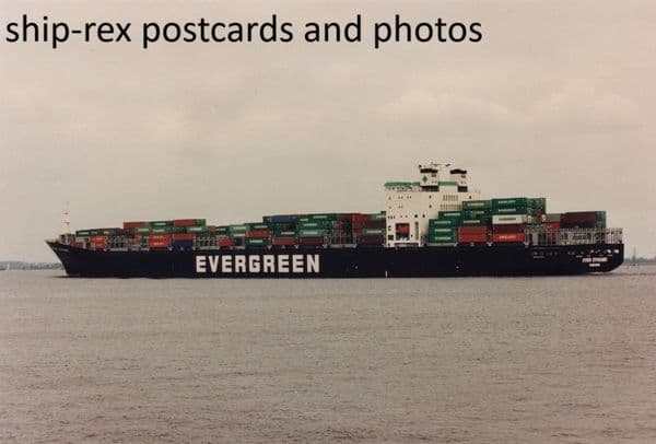 EVER DYNAMIC (Evergreen)