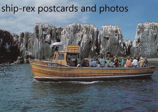 GLAD TIDINGS IV (Farne Islands)