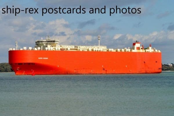 GLOVIS COUGAR (Hyundai Glovis) photo