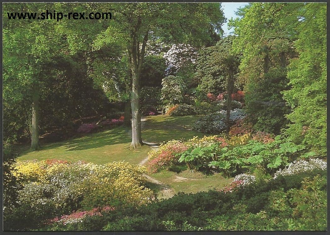 Leonardslee Gardens, The Dell - postcard