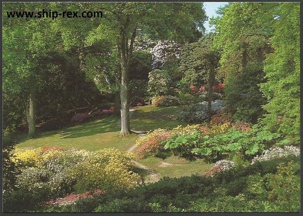 Leonardslee Gardens, The Dell - postcard