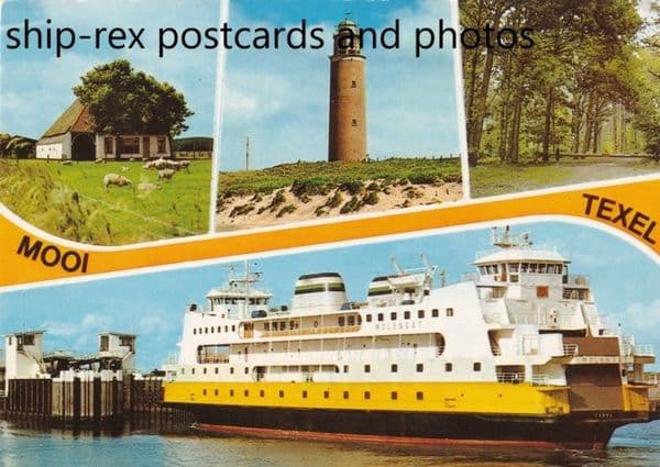 MOLENGAT on Texel multi-view