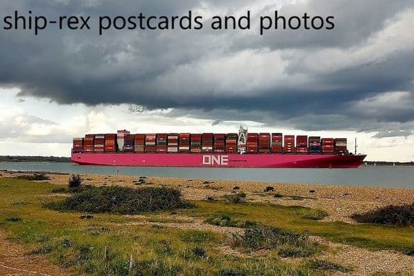 ONE WREN (Ocean Network Express)