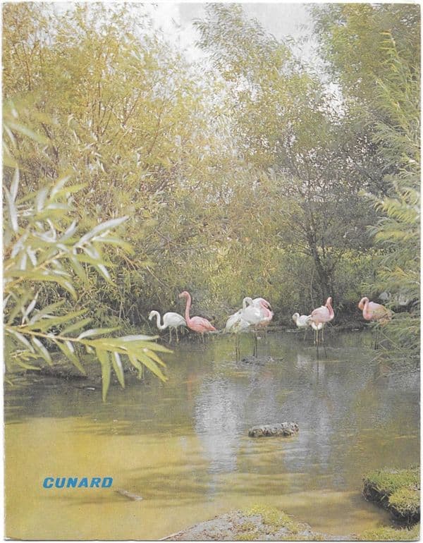 QUEEN MARY (Cunard Line) dinner menu 1964/12/19