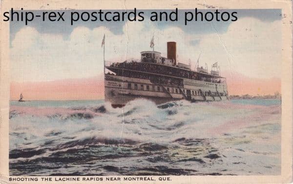 RAPIDS KING (R&O Line) b