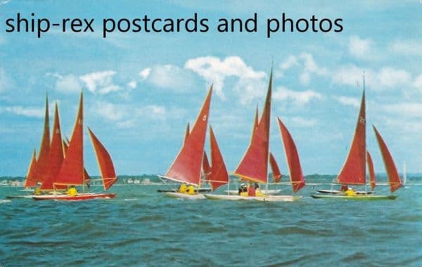 Redwings off the Isle Of Wight