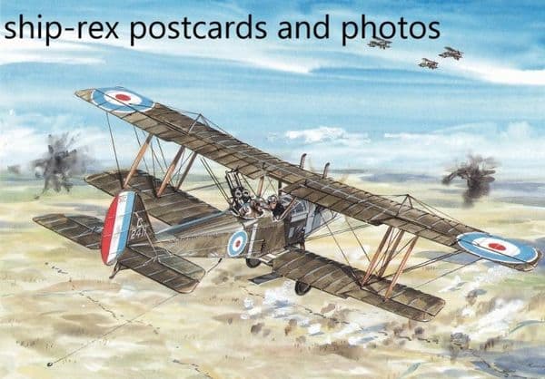 Royal Aircraft Factory R.E.8, Aeroplanes of the Great War