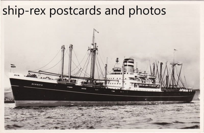 SCHIEDYK (Holland America)