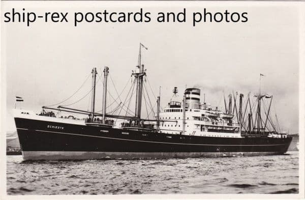 SCHIEDYK (Holland America)