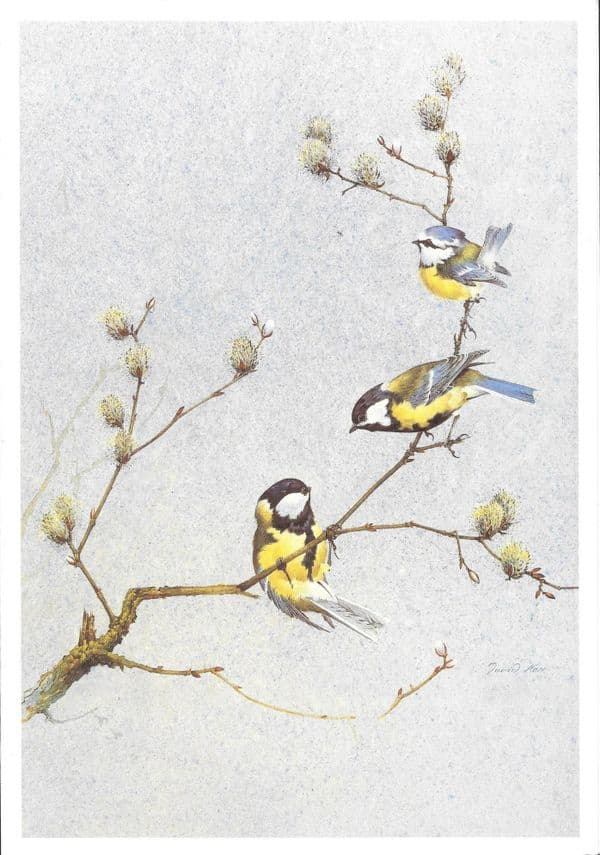 SEA PRINCESS (P&O, 1979) Lunch menu 1983/06/27