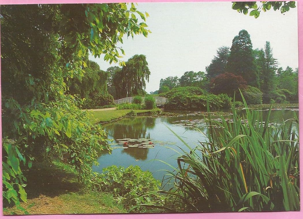 Sheffield Park Gardens, The 2nd Lake - postcard