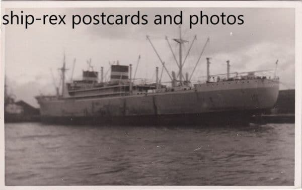 SILVERBRIAR (Silver Line)