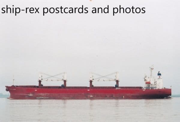 STOVE TRADER (Stove Shipping) a