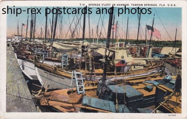 Tarpon Springs, Florida, sponge fleet