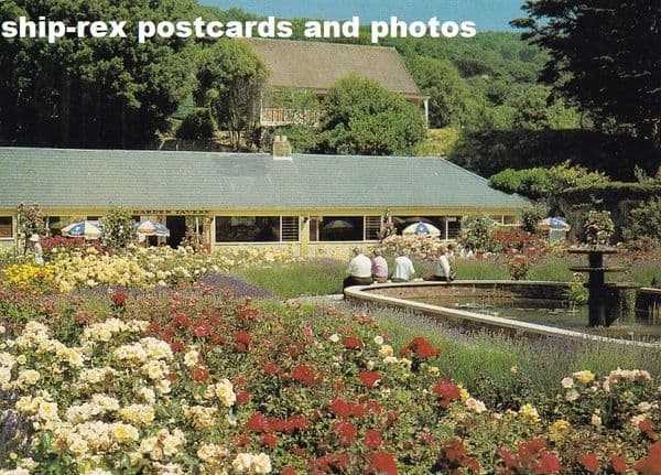 Ventnor (IOW) Rose Garden, postcard
