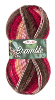 King Cole Bramble Double Knit 100g - OUR PRICE £3.85
