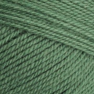 Stylecraft Special Aran with Wool 400g - 3980 Succulent