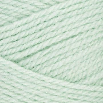 Stylecraft Special Aran with Wool 400g - 5509 Spearmint