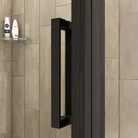 Crown 1100mm Sliding Shower Door Black 8mm