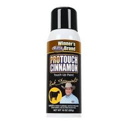 ProTouch Cinnamon
