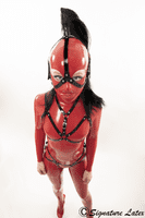 Latex  Head Harness with removable black ponytail