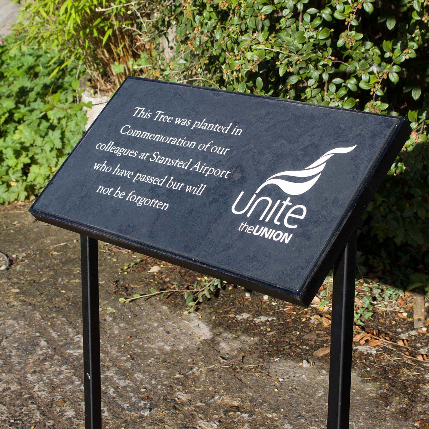 Understanding Our Wrought Iron Range: Finding the Perfect Fit for Your Sign or Plaque