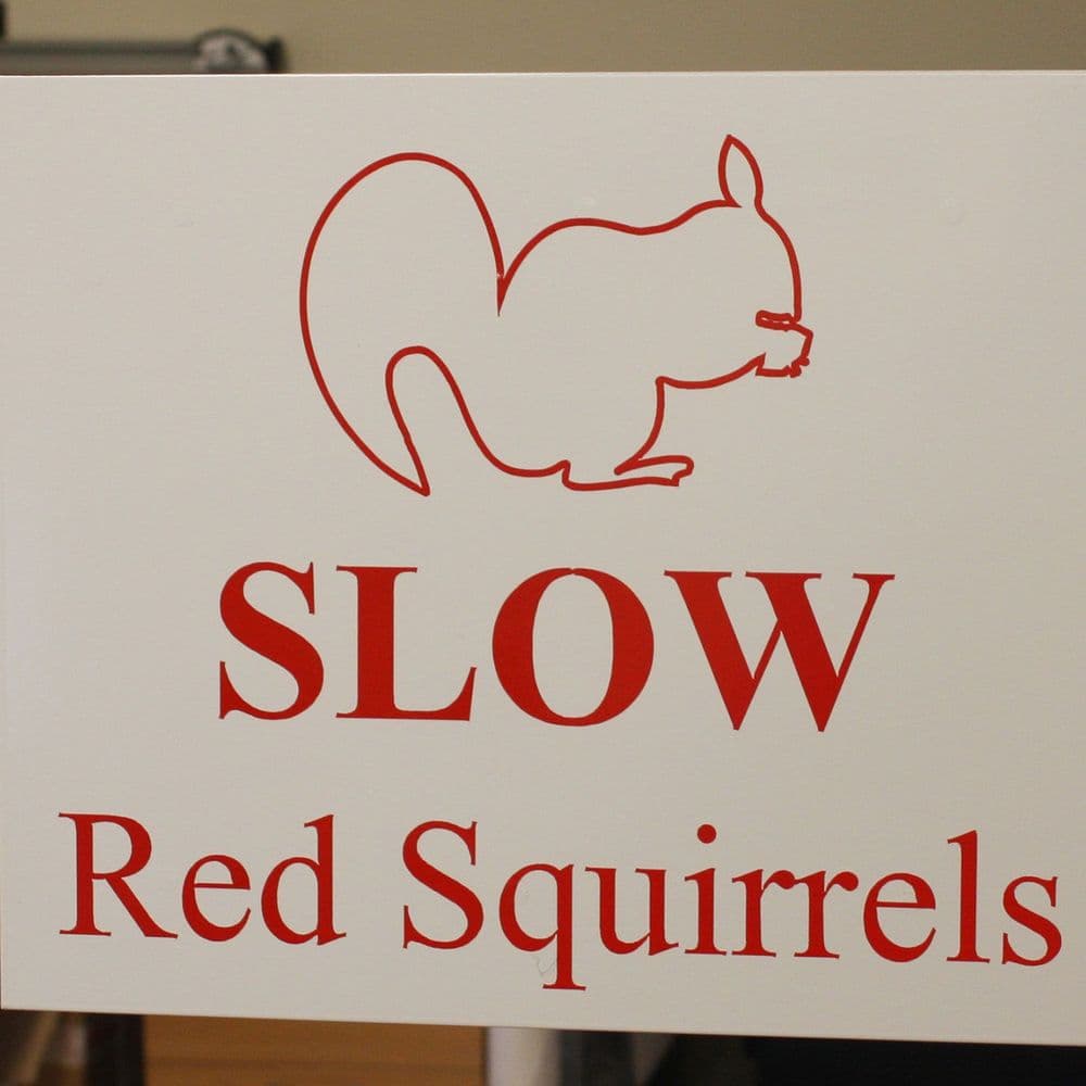 (5 of) A4 & A3 Printed PVC Signs