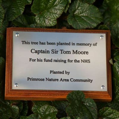 1.5mm Engraved Brass Memorial Plaque
