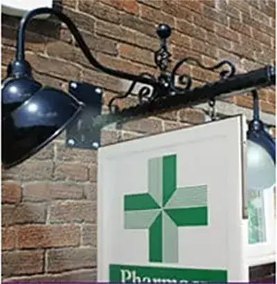 2 Swan Neck Cowl Light Kits