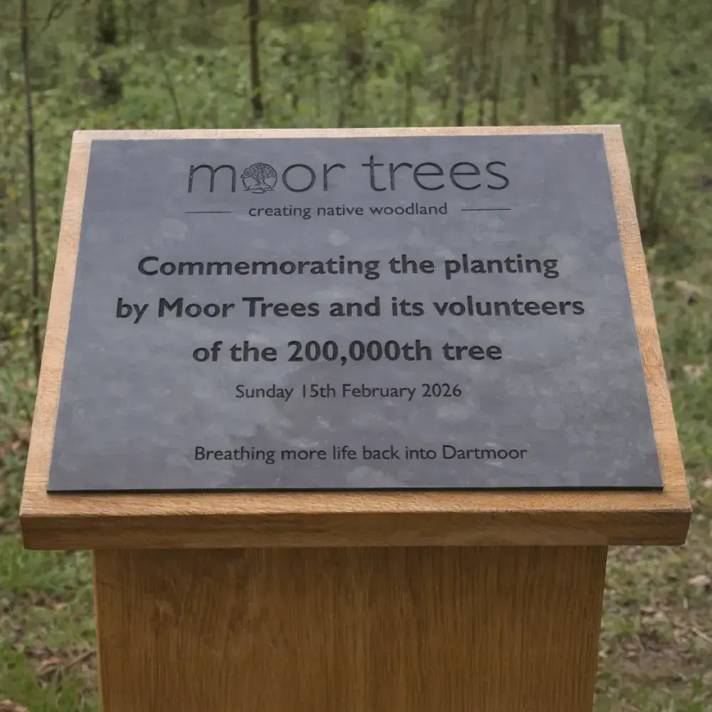 6mm Eco-Friendly PaperStone