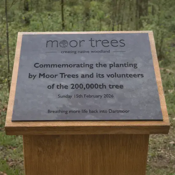 Engraved Eco-Friendly Paperstone Memorials | The Sign Maker Shop