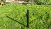 Angle Iron Tree Stake | The Sign Maker Shop